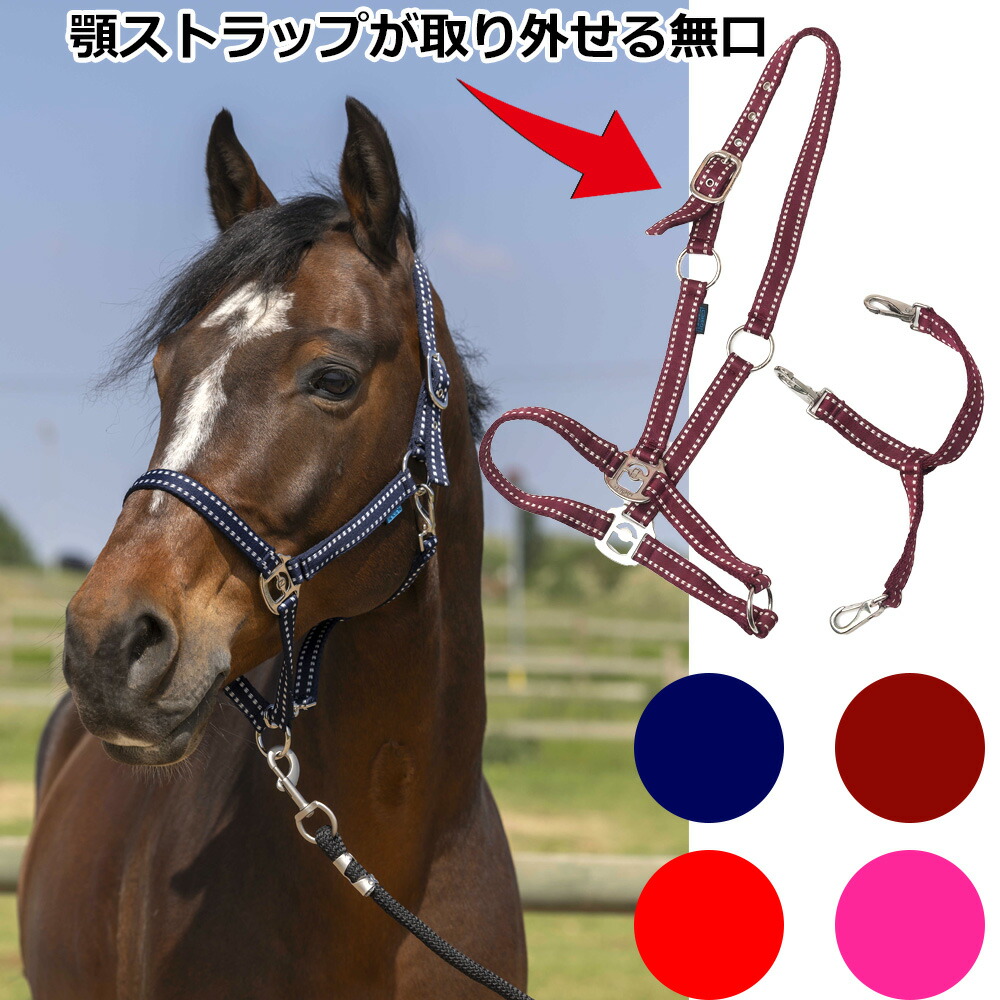 Norton　グルーミングホルター（無口）　｜　乗馬用品　馬具　カラー　手入れ　外せる ムクチ　むくち　もくし　ハルター
