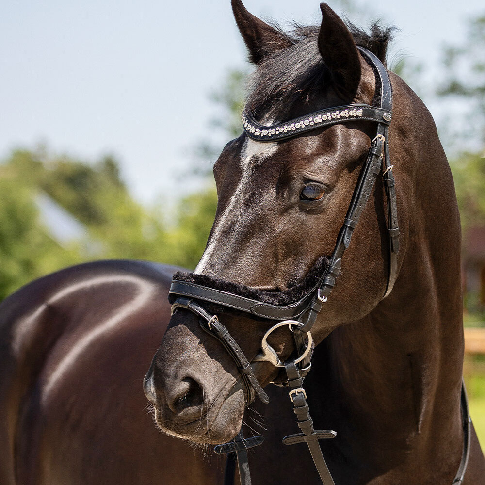 乗り馬 ボア付き添い人アナトミカル頭絡 センシソフト 布取り締まり付き添い人 QHP 水勒用頭絡 ハーネス 本革 フリース 毛革付き添い人 フルサイズ コブ大きさ 黒いこと 黒