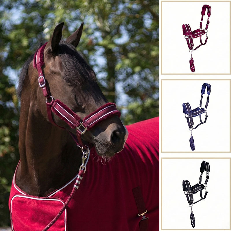 無口さ 仕掛ける QHP無口さ＆先んじる縄索仕掛ける ドルチ ｜ 乗り馬備品 ハーネス ホルター 引手 引き取り締まり ボア付き添い人 毛皮 今めかしい 赤 青 黒