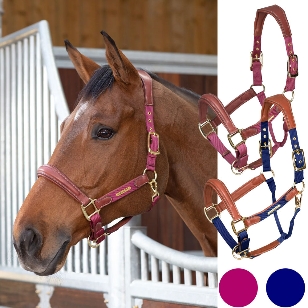 Shires Velociti Lusso レザーコンビネーションホルター（革無口） |　乗馬用品　馬具　むくち　ムクチ　革　お洒落　赤　紺　ヨーロッパ　高品質