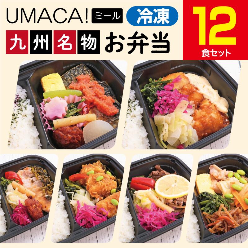 【九州名物の冷凍弁当12食セット】　弁当 簡単 レンチン 冷凍食品 冷凍惣菜 惣菜 九州 ご当地 美味しい グルメ 和食 温めるだけ 冷凍弁当 時短 保存