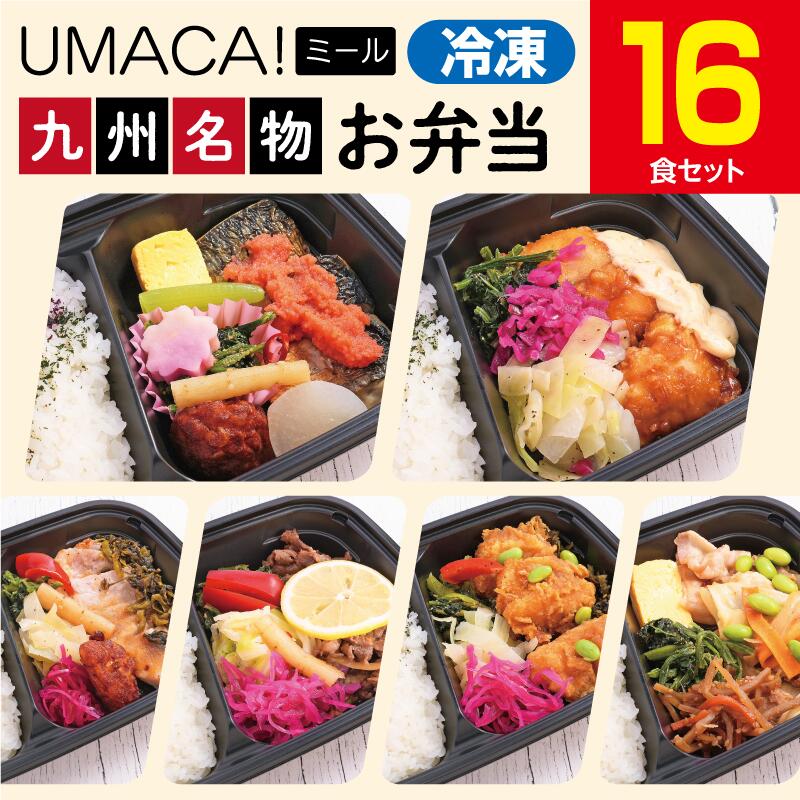 【九州名物の冷凍弁当16食セット】　弁当 簡単 レンチン 冷凍食品 冷凍惣菜 惣菜 九州 ご当地 美味しい グルメ 和食 温めるだけ 冷凍弁当 時短 保存