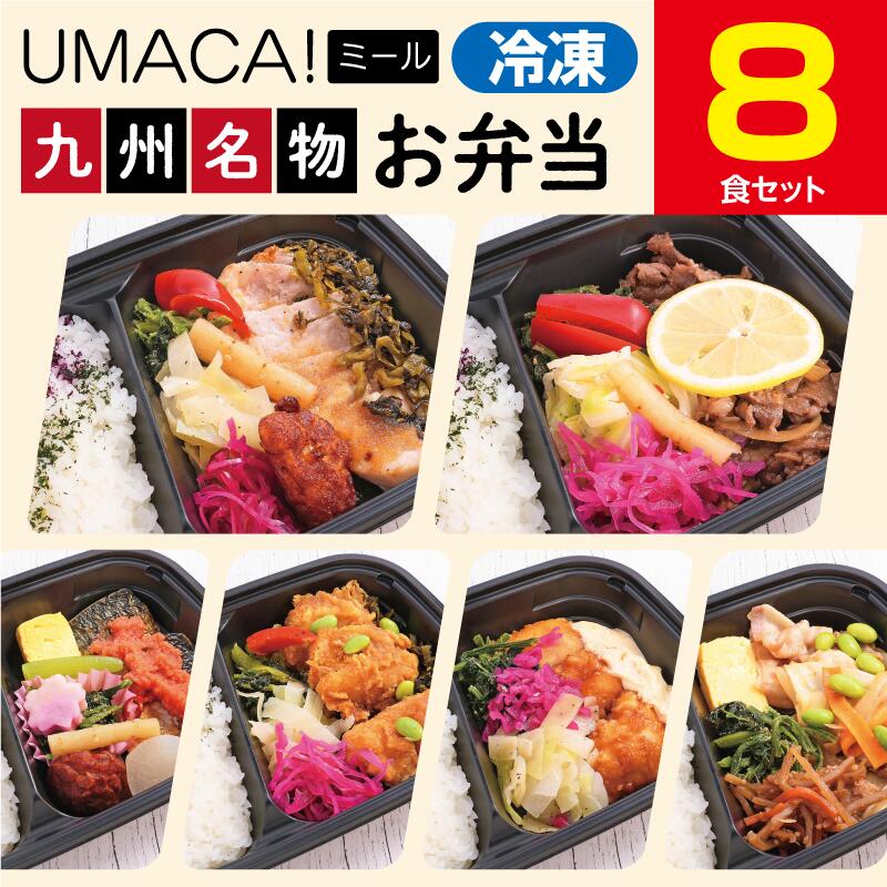 【九州名物の冷凍弁当8食セット】　弁当 簡単 レンチン 冷凍食品 冷凍惣菜 惣菜 九州 ご当地 美味しい グルメ 和食 温めるだけ 冷凍弁当 時短 保存