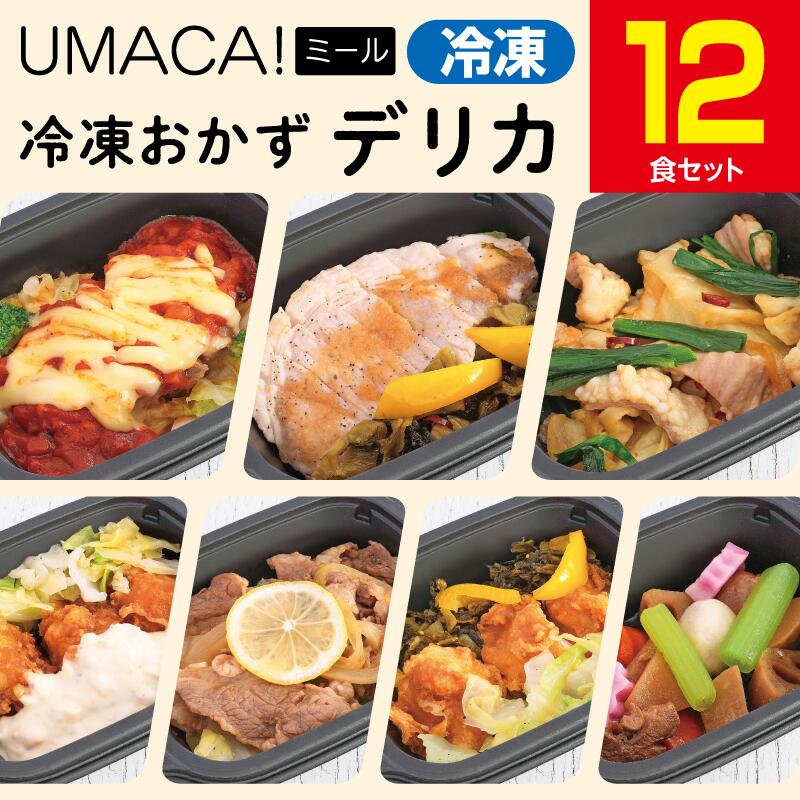 【デリカ12食セット】　冷凍食品 冷凍惣菜 惣菜 九州 ご当地 美味しい グルメ 和食 温めるだけ おかず 簡単 レンチン 冷凍おかず 時短 保存 UMACA