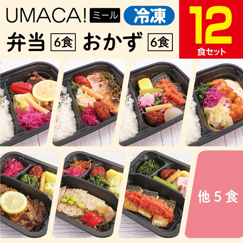 【冷凍弁当〈弁当6食・おかず6食〉12食セット】 冷凍 惣菜 弁当 レンチン 簡単 冷凍弁当 ご飯付き ごはん付き おかず 冷凍食品 お弁当 レンジ 温めるだけ 時短 保存 冷凍惣菜 冷凍総菜 セット 九州 ご当地 美味しい グルメ 和食 冷凍おかず弁当 冷凍お弁当通販 UMACA