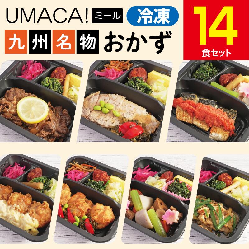 【九州名物の冷凍おかず14食セット】 弁当 簡単 レンチン 冷凍食品 冷凍惣菜 惣菜 九州 ご当地 美味しい グルメ 冷凍おかず通販 高齢者 和食 温めるだけ 和食おかず 美味しいおかず 冷凍弁当 おかず 時短 保存 冷凍惣菜国産 簡単おかず 冷凍お惣菜 冷凍お惣菜お弁当