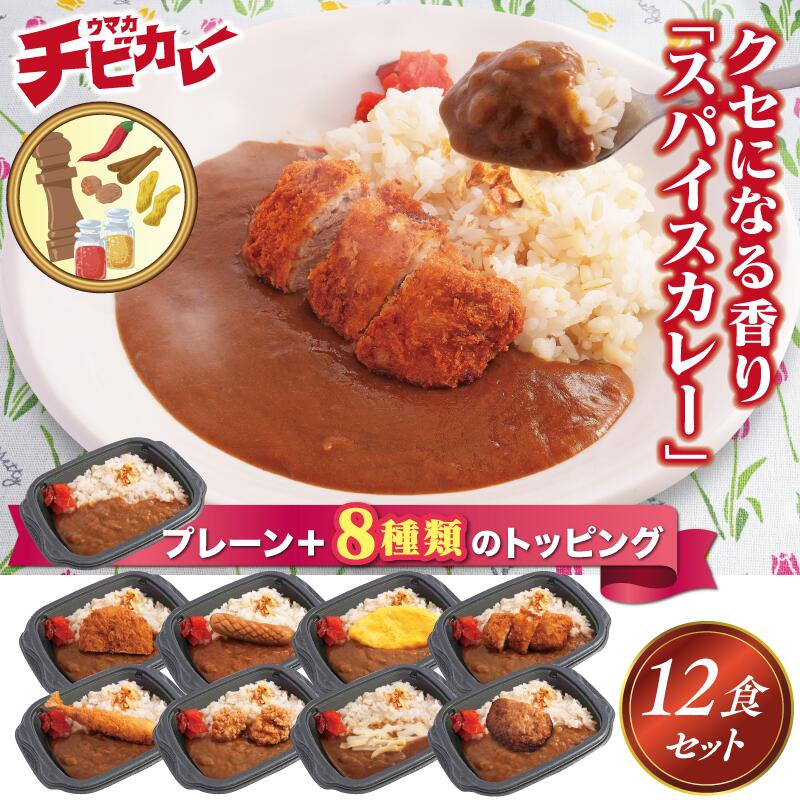 【チビカレー】スパイスカレー色々12食セット　冷凍食品 冷凍惣菜 惣菜 九州 ご当地 美味しい グルメ 和食 温めるだけ 簡単 レンチン 冷凍カレー 時短 保存 UMACA カレー チビカレー