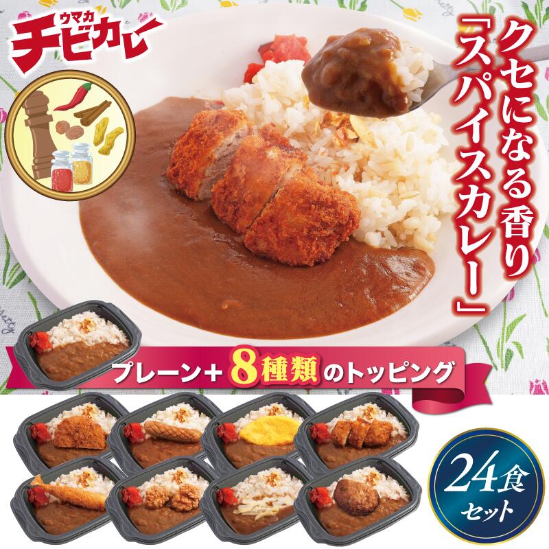 【チビカレー】スパイスカレー色々24食セット　冷凍食品 冷凍惣菜 惣菜 九州 ご当地 美味しい グルメ 和食 温めるだけ 簡単 レンチン 冷凍カレー 時短 保存 UMACA カレー チビカレー