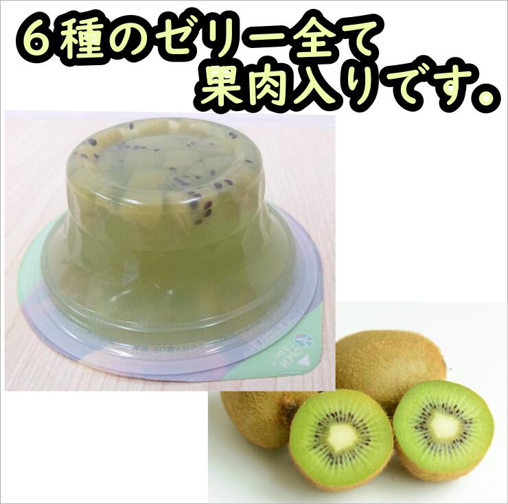 愛媛県産出フルーツジェリィ 種目 個第一歩 各 個ずつ 送料無料 国産 フルーツ 果物 柑橘 Hotjobsafrica Org