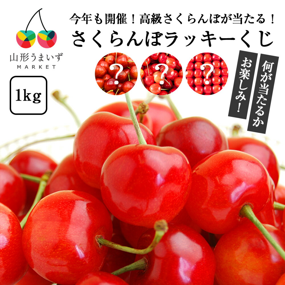 【 山形県産 さくらんぼ ラッキーくじ 1kg 】( 6月中旬～7月上旬頃発送予定 )  佐藤錦 紅秀峰 その他の品種 ギフト M L サイズ 産地直送 バラ詰め ばら詰め 並び詰め 自宅用 家庭用 おうち用 東根市 サクランボ 果物 フルーツ 人気 山形県 チェリー プレゼント