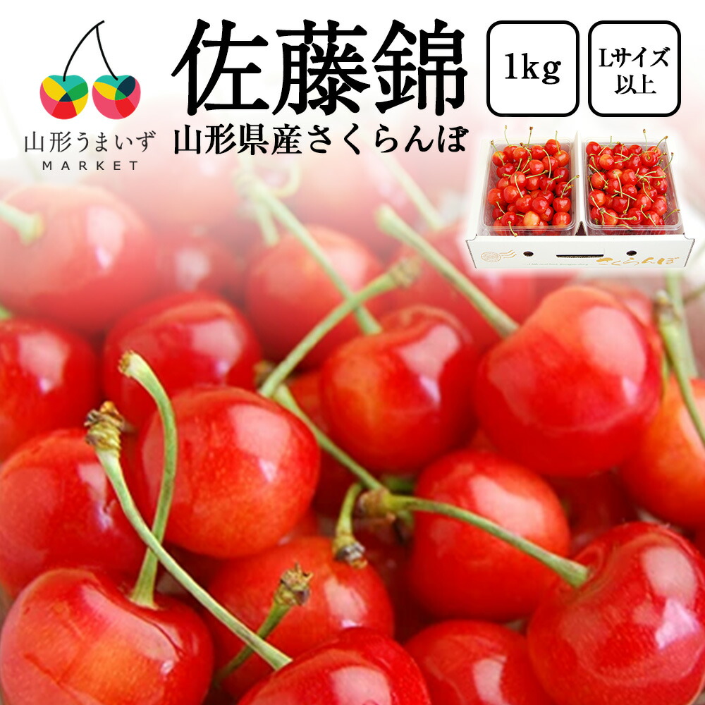 予約受付中：6月中旬頃より発送予定|プレミアム さくらんぼ 佐藤錦 1kg ( Lサイズ 以上 / バラ詰め / 500g×2 ) ギフト 山形県産 サクランボ 1キロ 家庭用 チェリー 果物 フルーツ 山形県 産地直送 ばら詰め 自宅用 おうち用 山形 プレゼント 期間限定 人気 贈答