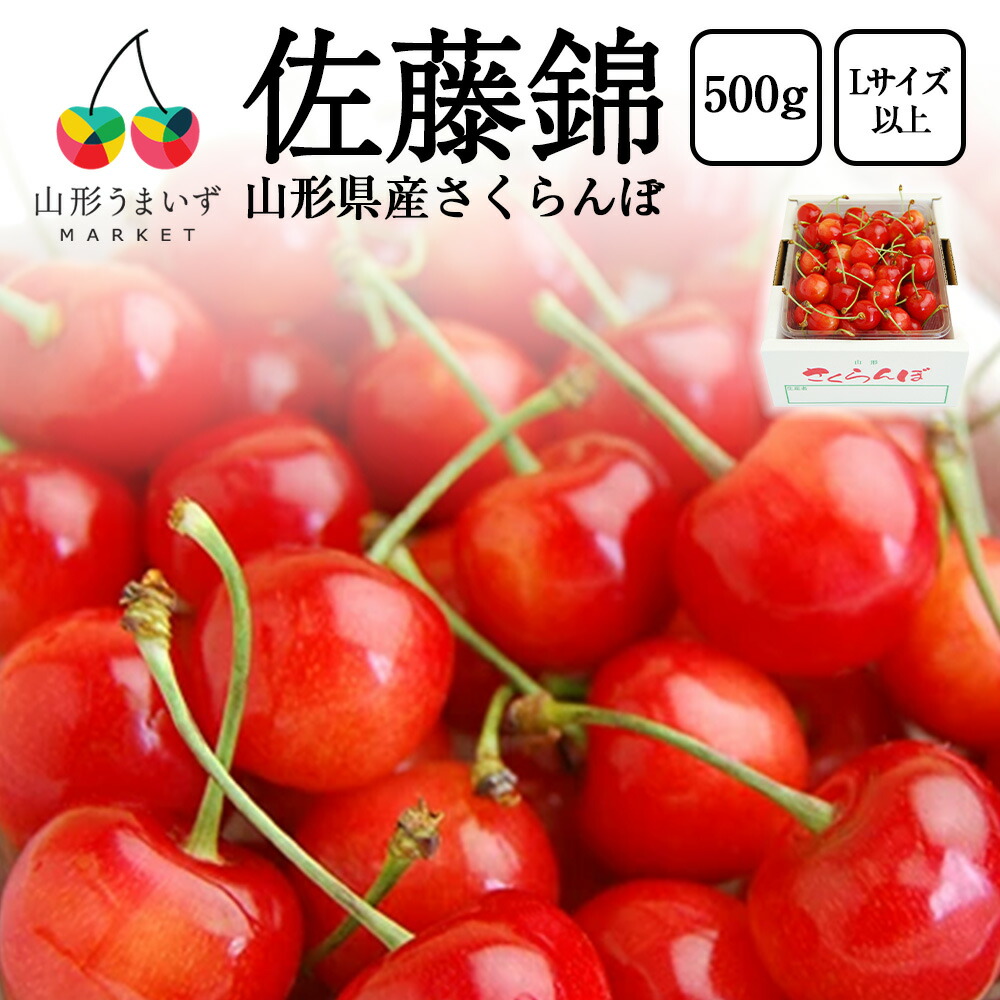 予約受付中：6月中旬頃より発送予定| プレミアム さくらんぼ 佐藤錦 500g ( Lサイズ 以上 / バラ詰め ) ギフト 山形県産 サクランボ チェリー フルーツ 果物 くだもの 化粧箱 箱入り ご当地 特産 産地 直送 先行予約 プレゼント お彼岸 お中元 御中元 おすすめ