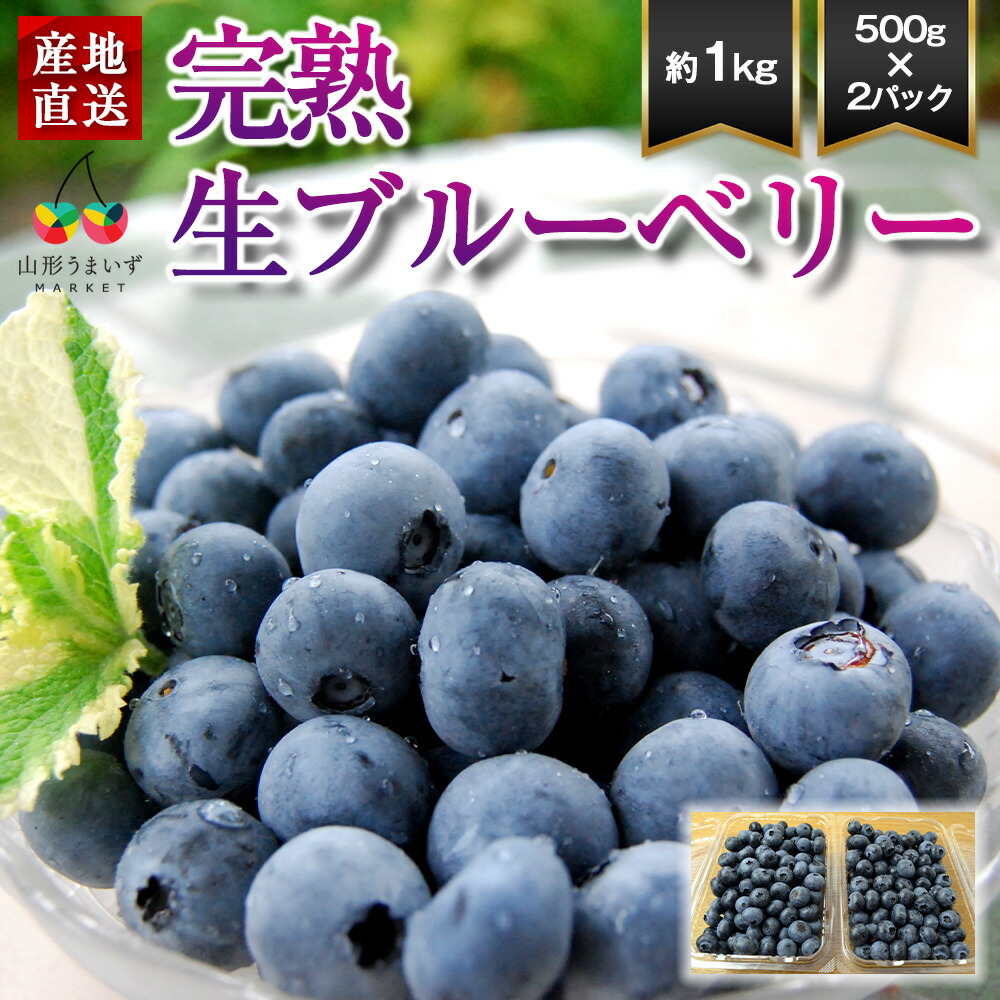 予約受付中：7月中旬頃より発送予定|山形 完熟 生ブルーベリー 約1kg ( 500g×2パック ) 箱入り ブルーベリー 国産 1キロ フルーツ 果物 山形県産  産地直送 農薬不使用 大粒 贈答 くだもの お取り寄せ アントシアニン 食物繊維 ギフト プレゼント 人気
