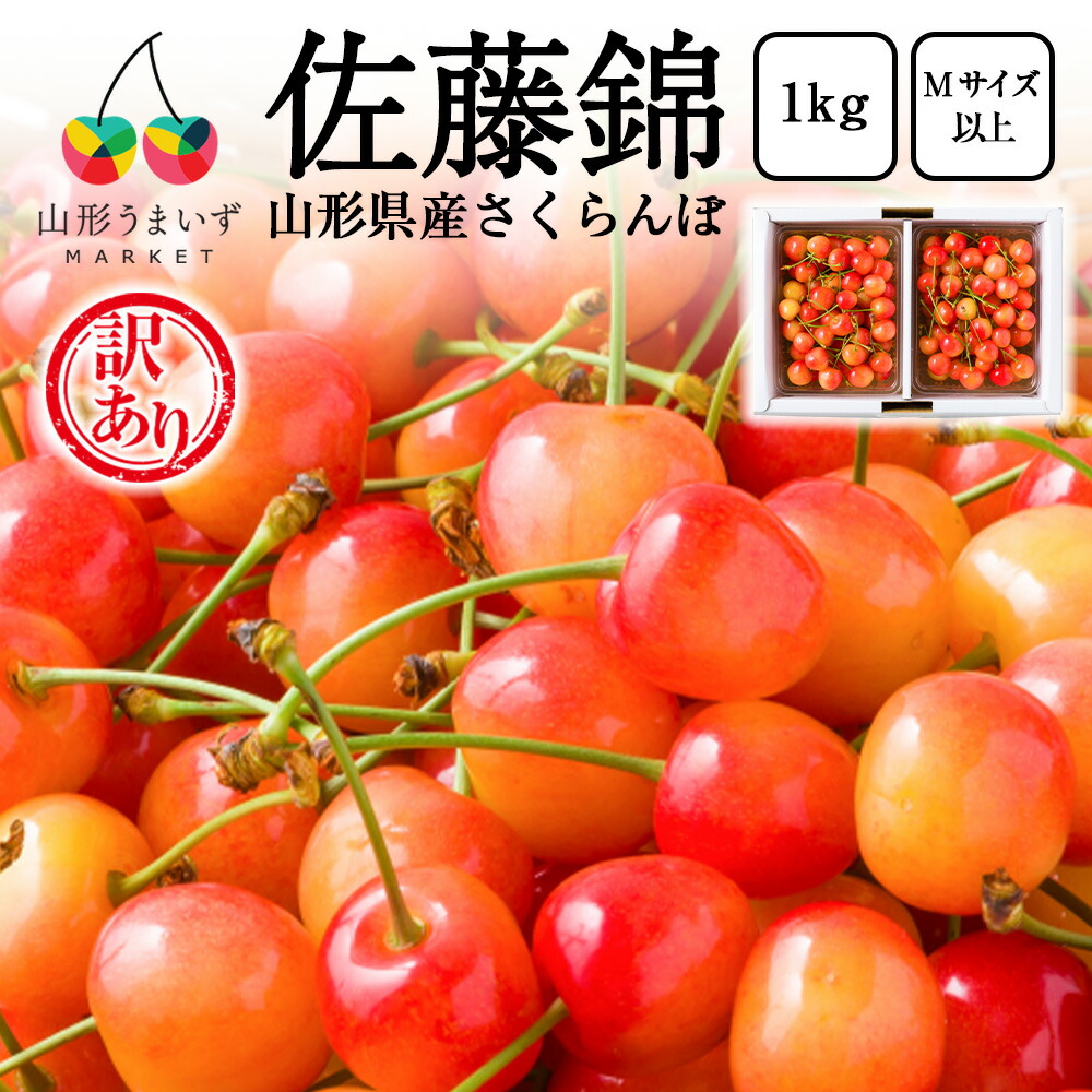 訳あり さくらんぼ 佐藤錦 1kg ( Mサイズ 以上 / バラ詰め / 双子果 など ) ギフト 1キロ 山形県産 家庭用 自宅用 おうち用 サクランボ 果物 フルーツ 人気 山形県 お取り寄せ 産地直送 山形県産さくらんぼ ご家庭用 チェリー
