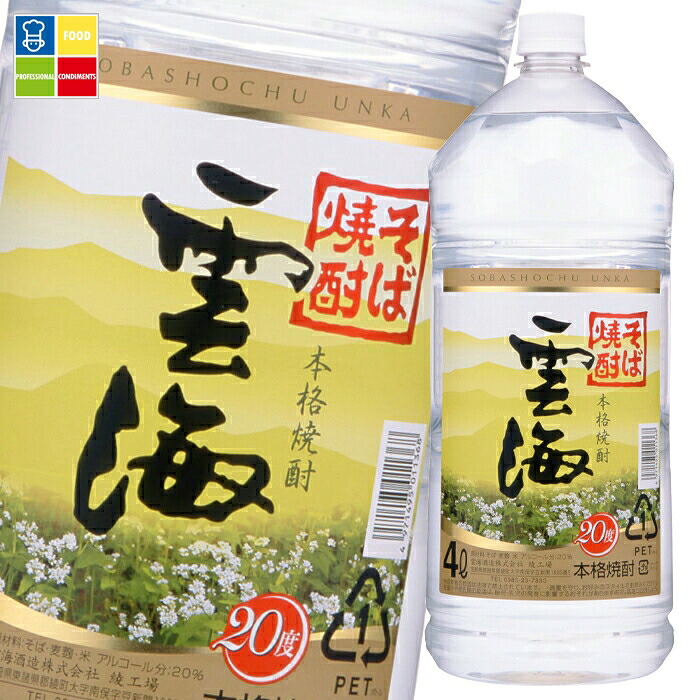 雲海酒造 そば雲海 20度4Lペット×2ケース（全8本） 送料無料