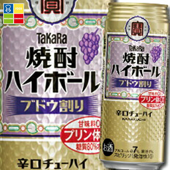 宝酒造 焼酎ハイボール ブドウ割り500ml缶×2ケース（全48本） 送料無料