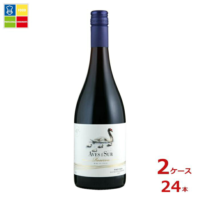 デル スール ピノ ノワール レセルバ750ml瓶×2ケース（全24本）送料無料 22,104円