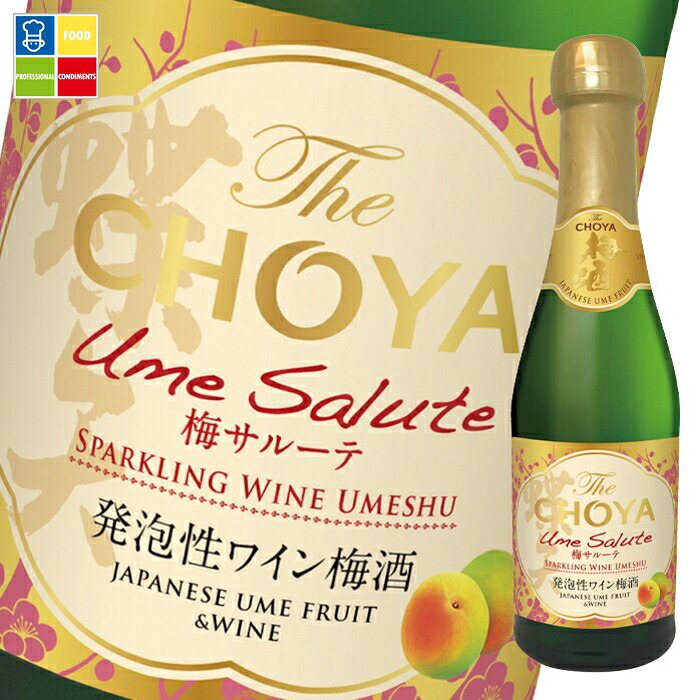 チョーヤ 梅酒 The CHOYA 梅サルーテ 200ml 瓶×2ケース（全24本） 送料無料