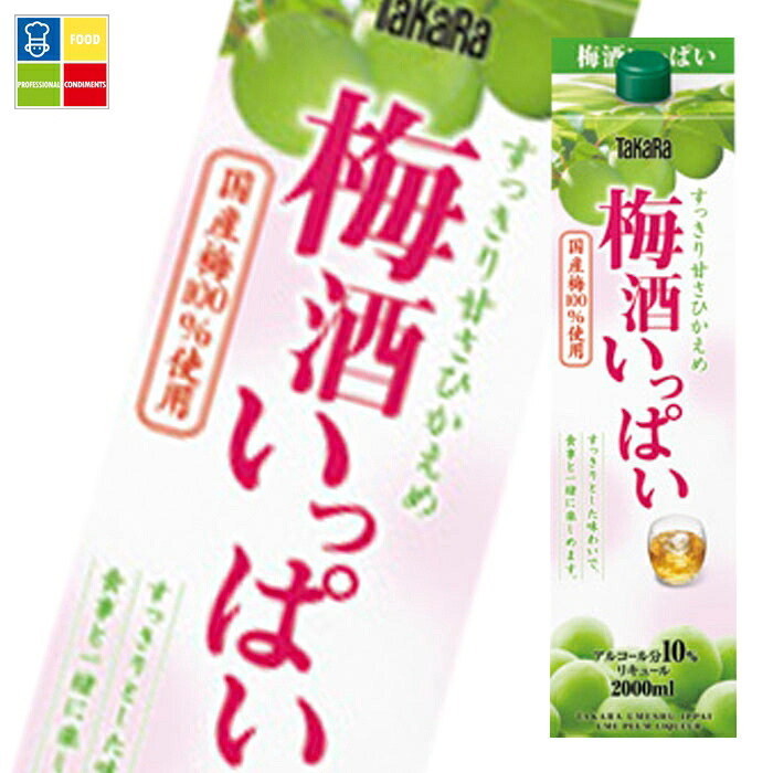 宝酒造 TaKaRa 梅酒いっぱい2L紙パック×2ケース（全12本） 送料無料