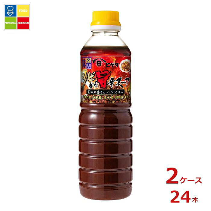 先着限りクーポン付 ヒゲタ 味名人シビれる旨辛スープ600gペットボトル×2ケース（全24本） 送料無料【co】