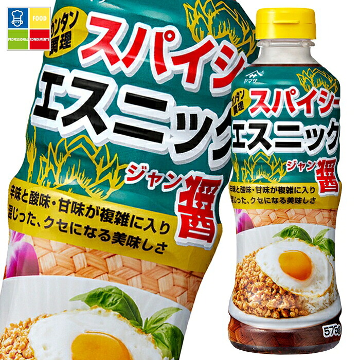 ヤマサ スパイシーエスニック醤575g×2ケース（全12本） 送料無料
