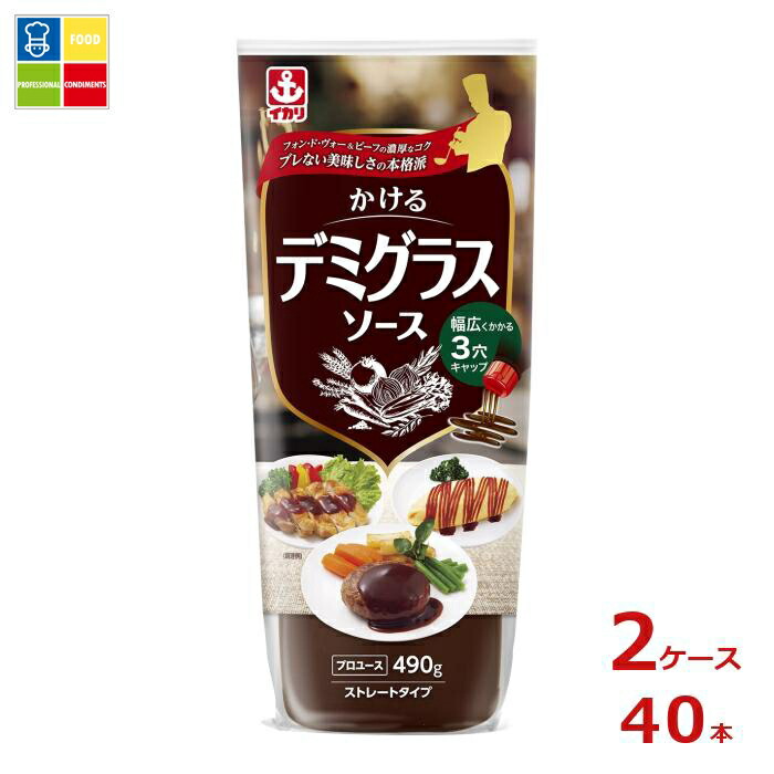 先着限りクーポン付 イカリソース かけるデミグラスソース 業務用490g&times;2ケース（全40本） 送料無料【co】｜うまいもん屋業務用プロマーケット