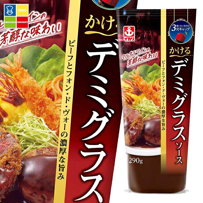 先着限りクーポン付 イカリソース かけるデミグラスソース290g×1ケース（全20本） 送料無料【co】