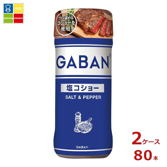 ハウス ギャバン 塩コショー120g×2ケース（全80本） 送料無料
