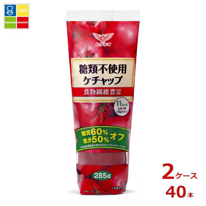ハグルマ 糖類不使用ケチャップ285g×2ケース（全40本）送料無料