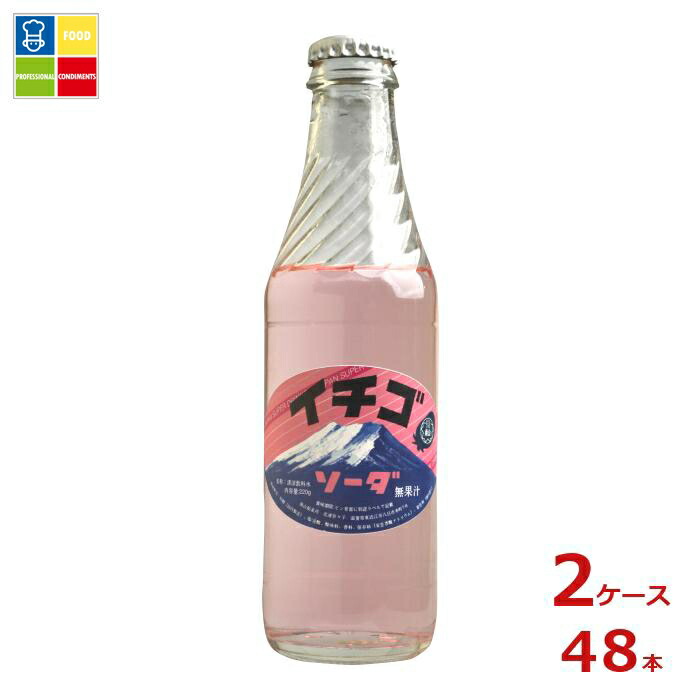 南山鉱泉所 イチゴソーダ220g瓶×2ケース(全48本)送料無料