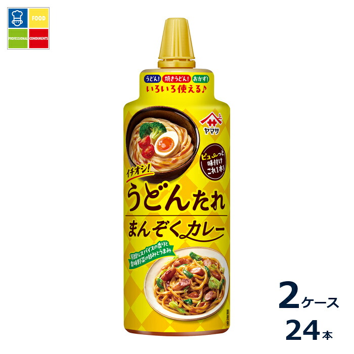 ヤマサ 醤油 イチオシ!うどんたれまんぞくカレー230ml×2ケース（全24本）送料無料