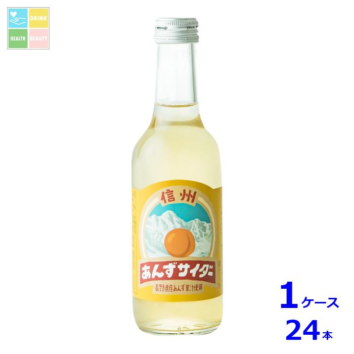 友桝飲料 信州シャインマスカット サイダー245ml瓶×2ケース（全48本）送料無料