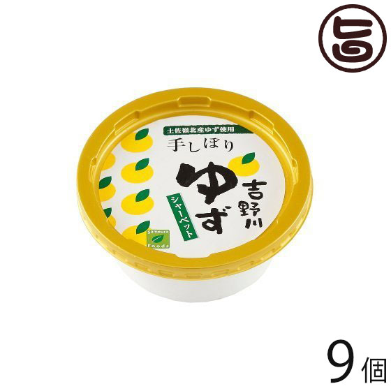 吉野川ゆずシャーベット 150ml&times;9個 高知県 四国 デザート フルーツ  条件付き送料無料