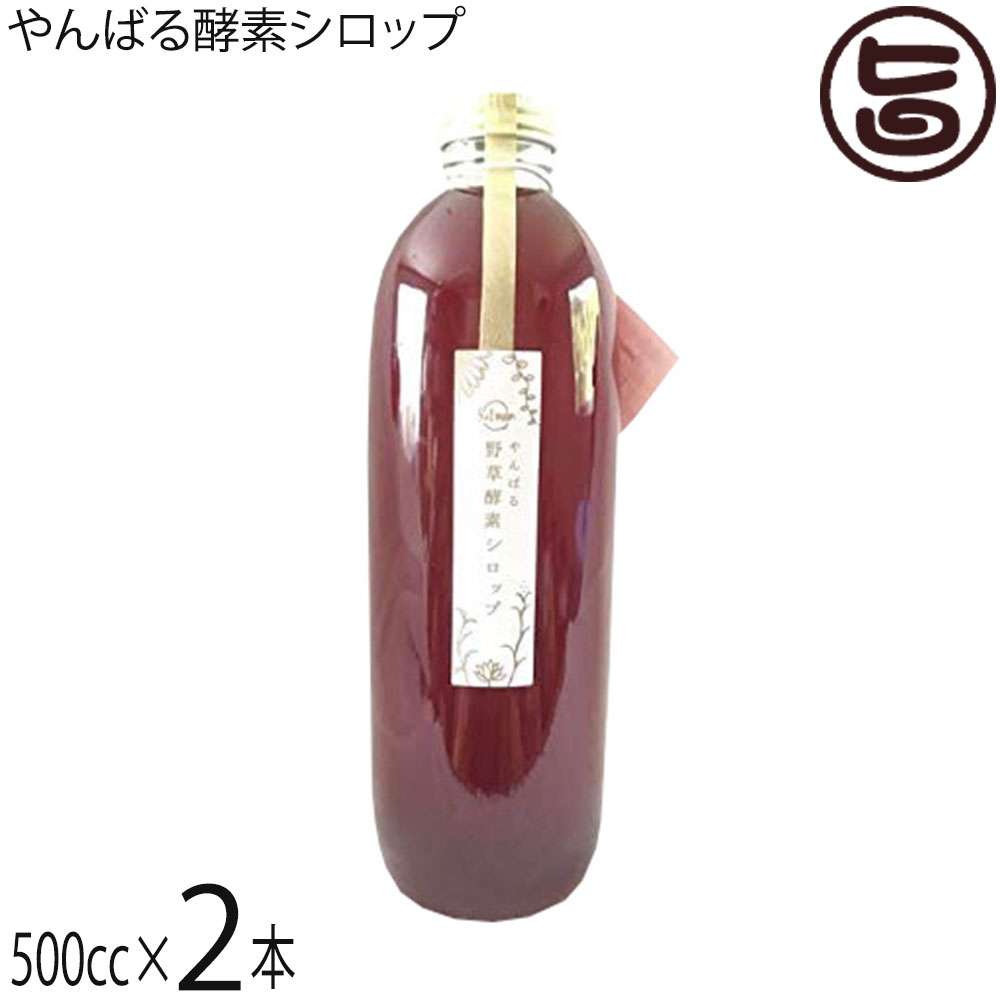 森岡農園 やんばる酵素シロップ 500cc×2本