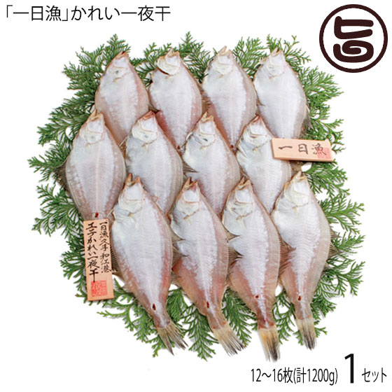 かれい一夜干 10g 約 枚 島根県 人気 魚介類 一夜干し 条件付き送料無料 白身でサッパリとしていて しかも脂 旨味たっぷりの 白かれい の干物 鮮度にこだわった山陰の逸品 大切な方への贈り物にギフト お中元 お歳暮 かつては全国各地の漁港で行われていたが