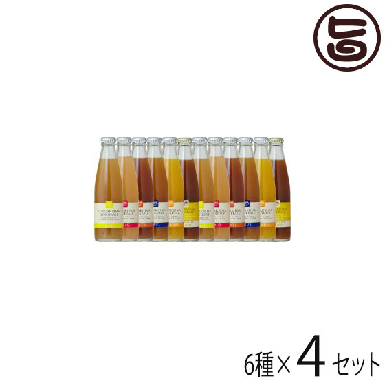 0ml 生姜 沖縄 沖縄 6種 4セット 石垣島ジンジャーエール 生姜 無添加 送料無料 旨いもんハンター無添加で手作りされた 手作り ドリンク その他 人気 土産 有機生姜と沖縄産スパイスをブレンドした辛口ジンジャエール