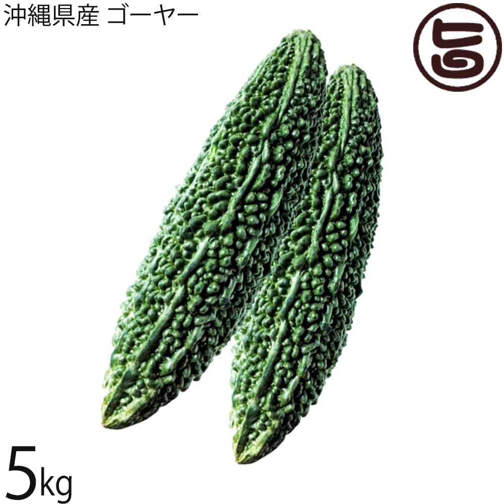 沖縄県産 ゴーヤー 約5kg 沖縄 苦瓜 6,912円