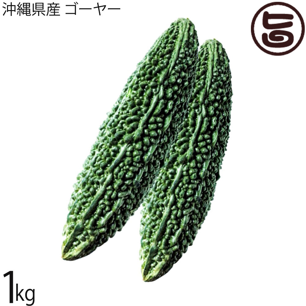 楽天市場】ゴーヤー（苦瓜） 2kg : 沖縄美味通販のたま青果