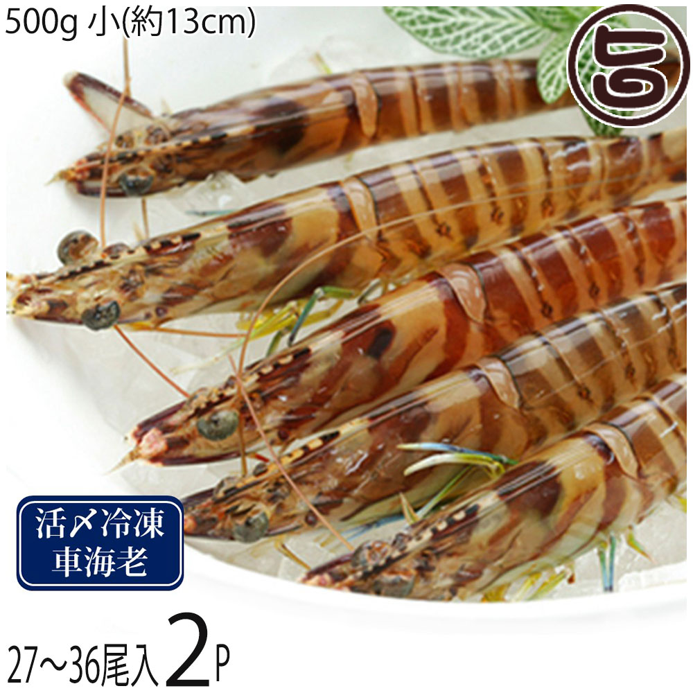 宜野座養殖場 急速冷凍 宜野座村産 車えび 活き締め 500g 小(約13cm) 27～36尾×2P