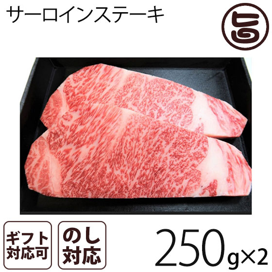 楽天市場 ギフト用 5等級のきたかみ牛 サーロインステーキ 250g X 2枚 岩手県 ブランド牛 サーロイン ステーキ 贈答用 プレゼント ギフト 条件付き送料無料 旨いもんハンター