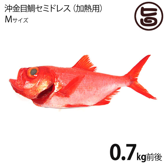 楽天市場 宇都宮水産 天然 沖金目鯛 セミドレス 加熱用 えらと内蔵 除去済 Sサイズ 1尾 下田漁港 祝儀魚 高タンパク 低カロリー コラーゲン 静岡 条件付き送料無料 旨いもんハンター 楽天市場 宇都宮水産 天然 沖金目鯛 セミドレス 加熱用 えらと内蔵 除去済 Sサイズ 1尾 下田漁港 祝儀魚 高タンパク 低カロリー コラーゲン 静岡 条件付き送料無料 旨いもんハンター