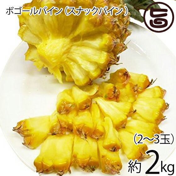 期間限定 沖縄産 ボゴールパイン（スナックパイン ）2～3玉 （約2kg） 沖縄 人気 南国フルーツ 希少 お土産