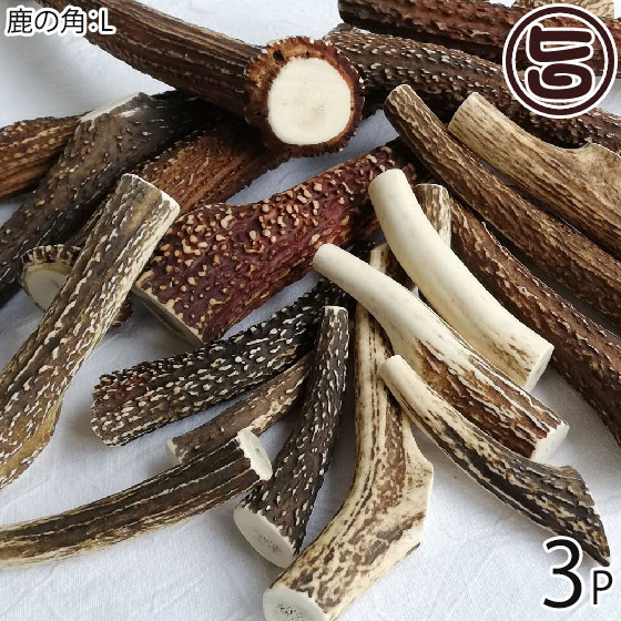 但馬の狩猟肉 ココ鹿 本州鹿の角 L大きさ×3P 兵庫県 一般受け 差し上げ物 ナチュラルペットフード 剪断応力差し止める Ｃａ摂取すること