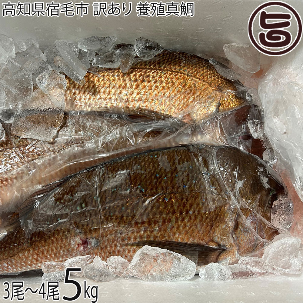 ワクトフーズ 高知県宿毛市 訳あり 養殖真鯛 約5kg 3尾～4尾目安 6,384円