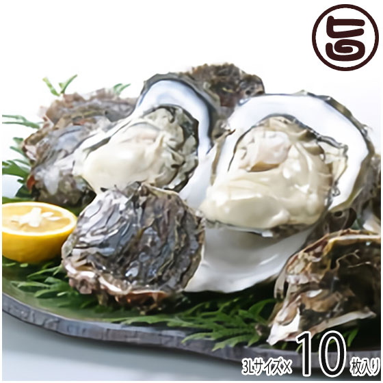 期間限定 隠岐のいわがき 3Lサイズ 10枚入り 3月から6月まで 日本海隠岐活魚倶楽部 ぷりぷり濃厚な岩牡蠣 鮮度抜群 ジューシーで磯の香りたっぷり 牡蠣メス 軍手 レシピ付