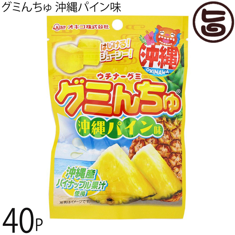 オキコ ウチナーグミ グミんちゅ 沖縄パイン味 40g×40P