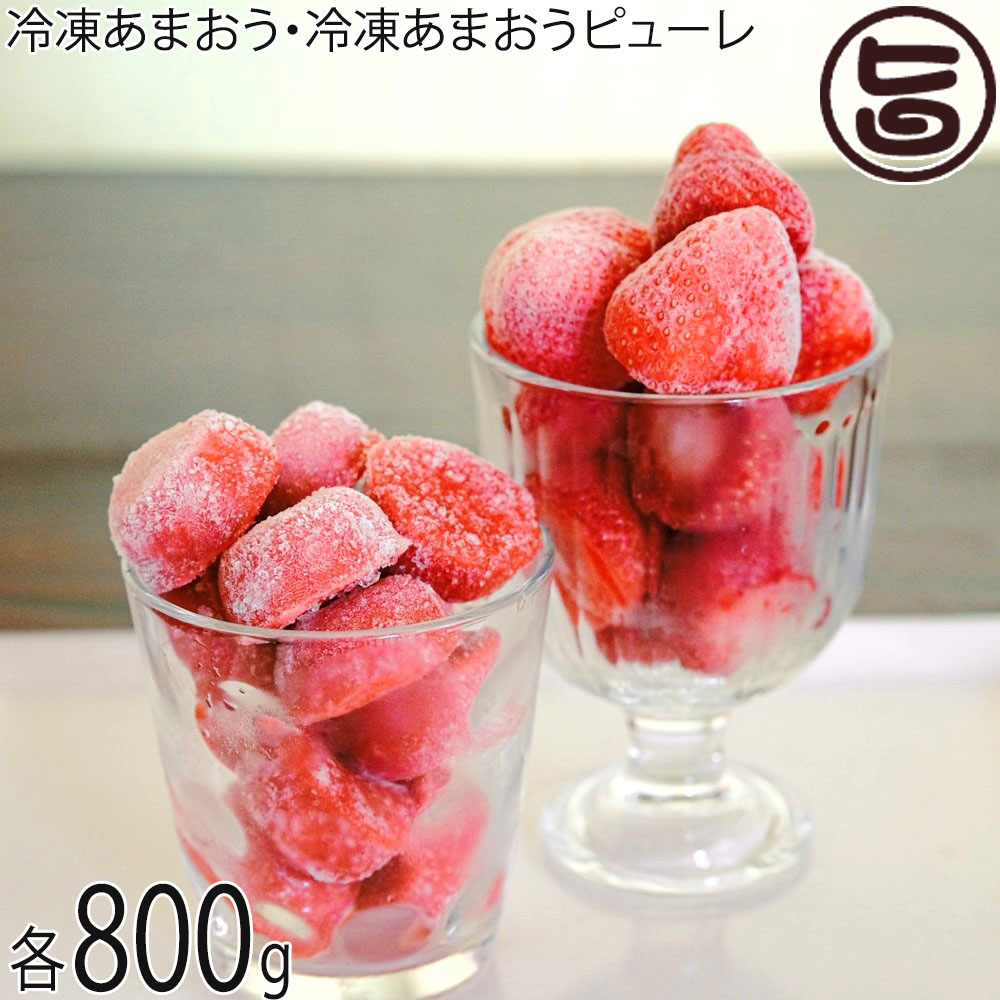 よっちゃんファーム 福岡県産いちご 冷凍あまおう 冷凍あまおうピューレ 各800g 食べ比べセット