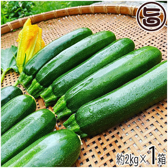 沖縄産健康野菜！！食用ヘチマ（ナーベラー）モリモリ２ｋｇ！！（送料