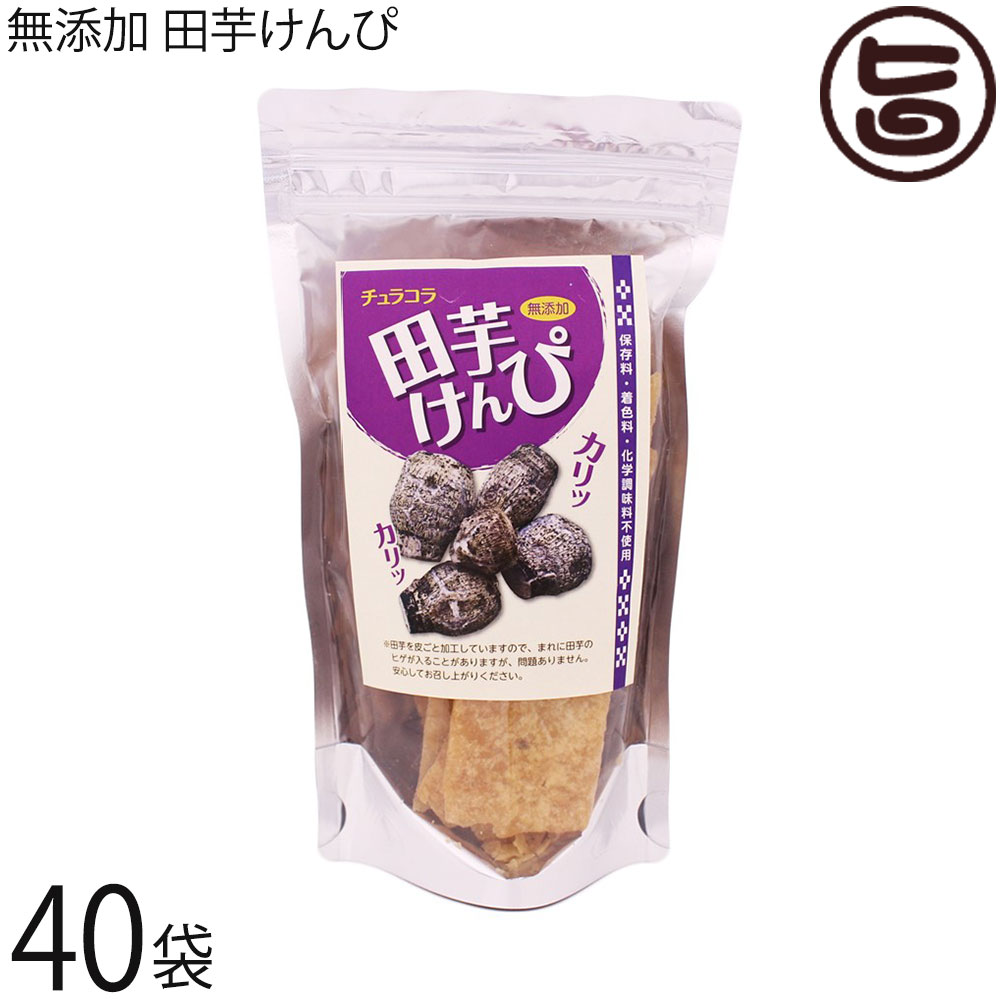 リリーフーズ 無添加 田芋けんぴ 70g×40袋