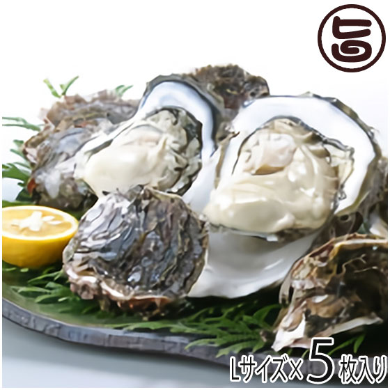 期間限定 隠岐のいわがき Lサイズ 5枚入り 3月から6月まで 島根県 新鮮 魚介類 人気 贅沢 タウリン カルシウム ビタミンB12